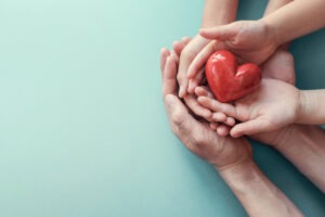 Can You Negotiate Adoption Fees? Can You Negotiate Adoption Fees?